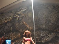 DSC 0041