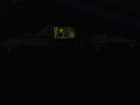 DSC 0034