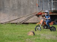 DSC 0010