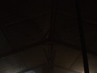 DSC 0091