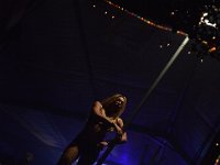 DSC 0187