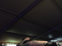 DSC 0338